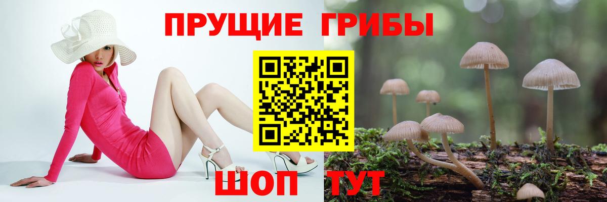 Псилоцибиновые грибы MAGIC MUSHROOMS  Галлюциногенные грибы прущие грибы  Аргун  Вход с VPN 